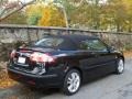 Black 2007 Saab 9-3 2.0T Convertible Exterior