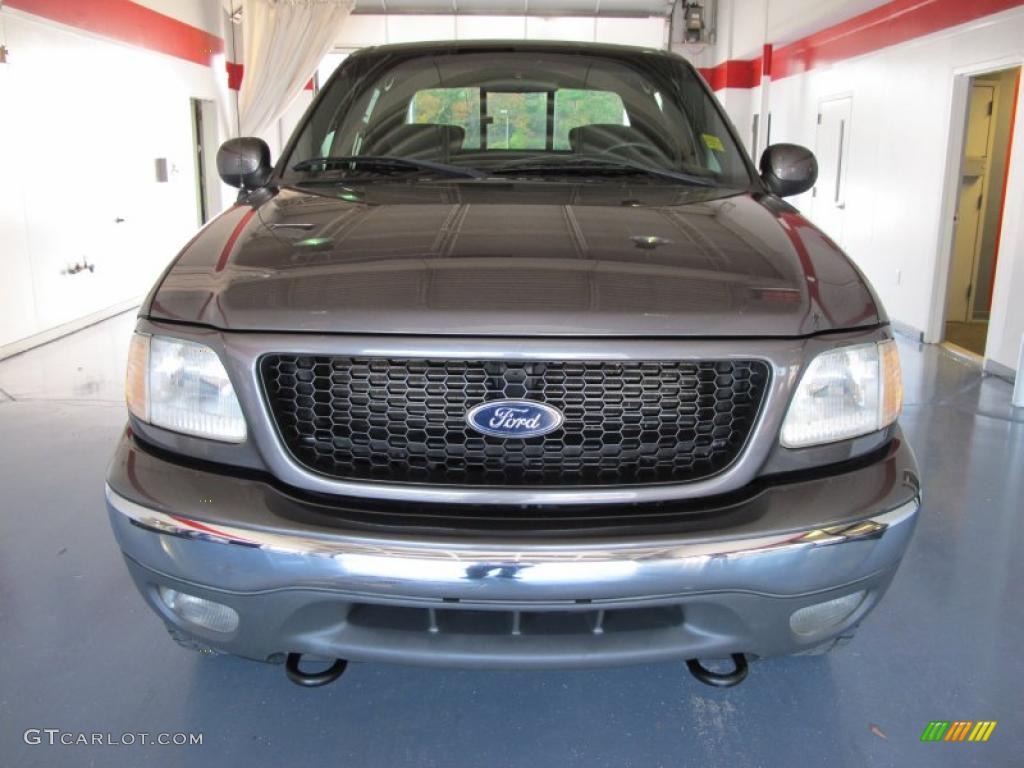 2002 F150 XLT SuperCrew 4x4 - Dark Shadow Grey Metallic / Medium Graphite photo #6