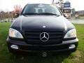 Black - ML 350 4Matic Photo No. 3