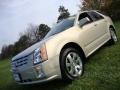 2007 Gold Mist Cadillac SRX 4 V6 AWD  photo #1