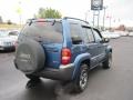 2004 Atlantic Blue Pearl Jeep Liberty Rocky Mountain Edition 4x4  photo #5