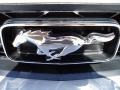 Brilliant Silver Metallic - Mustang V6 Premium Convertible Photo No. 18