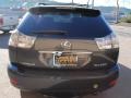 Smokey Granite - RX 350 AWD Photo No. 6
