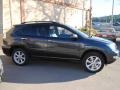 Smokey Granite - RX 350 AWD Photo No. 8