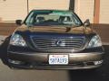 Briarwood Pearl - LS 430 Photo No. 2