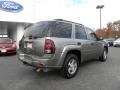 Silverstone Metallic - TrailBlazer LS 4x4 Photo No. 3