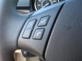 Beige Controls Photo for 2011 BMW 3 Series #40165189