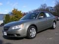 Natural Khaki - Sonata GLS Photo No. 1