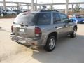 2007 Graystone Metallic Chevrolet TrailBlazer LS  photo #5