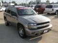 2007 Graystone Metallic Chevrolet TrailBlazer LS  photo #7