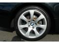 2007 Jet Black BMW 3 Series 328xi Coupe  photo #17