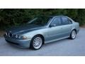 2003 Slate Green Metallic BMW 5 Series 530i Sedan  photo #3