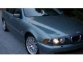2003 Slate Green Metallic BMW 5 Series 530i Sedan  photo #8