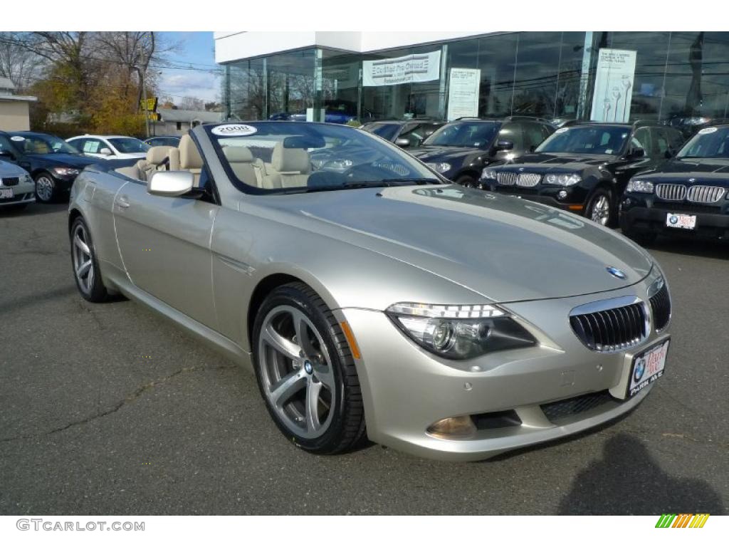 Mineral Silver Metallic BMW 6 Series