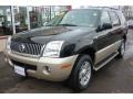 Black Clearcoat 2004 Mercury Mountaineer Convenience AWD Exterior