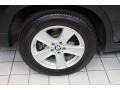 Jet Black - X5 4.8i Photo No. 11