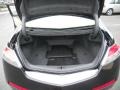 Parchment Trunk Photo for 2010 Acura TL #40192815