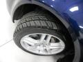 2006 Royal Blue Pearl Acura TL 3.2  photo #16