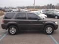 Charcoal Beige Metallic - Mariner Luxury 4WD Photo No. 2