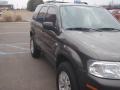 Charcoal Beige Metallic - Mariner Luxury 4WD Photo No. 4