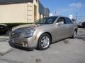 Cashmere - CTS Sedan Photo No. 3