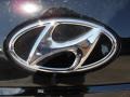 2011 Hyundai Accent GS 3 Door Badge and Logo Photo