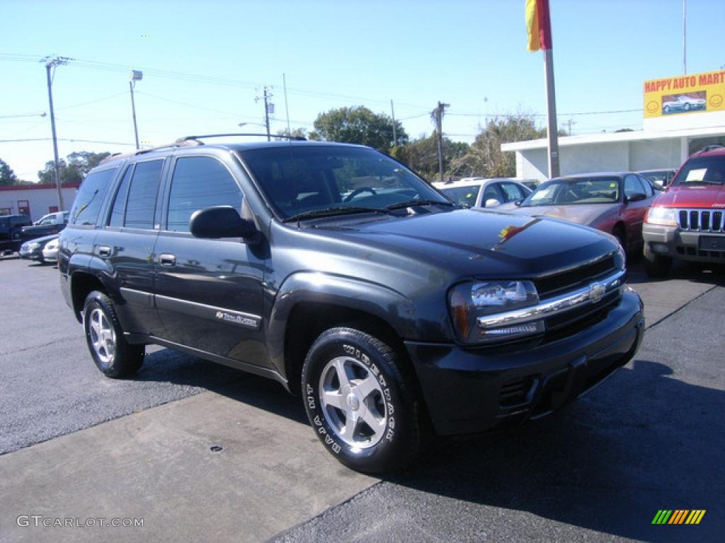 2004 TrailBlazer LS - Dark Gray Metallic / Pewter photo #2