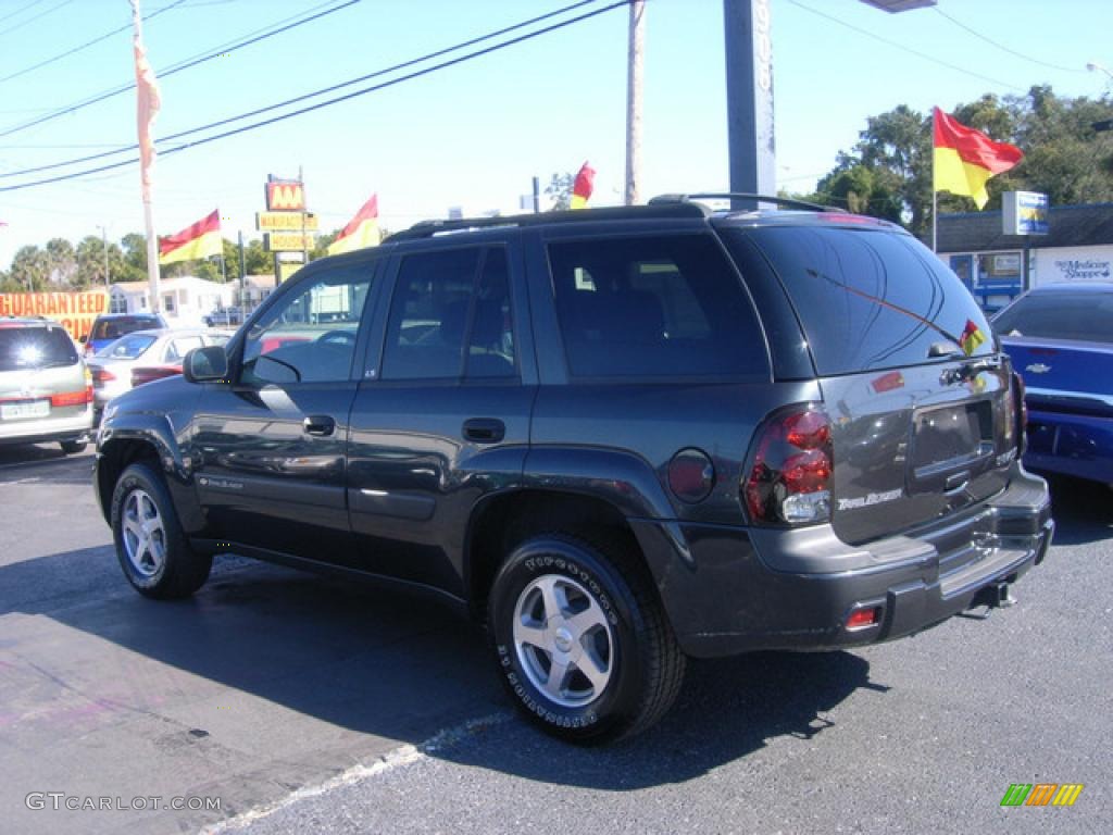 2004 TrailBlazer LS - Dark Gray Metallic / Pewter photo #6