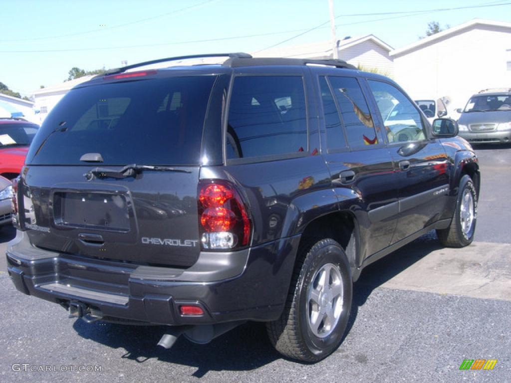 2004 TrailBlazer LS - Dark Gray Metallic / Pewter photo #8