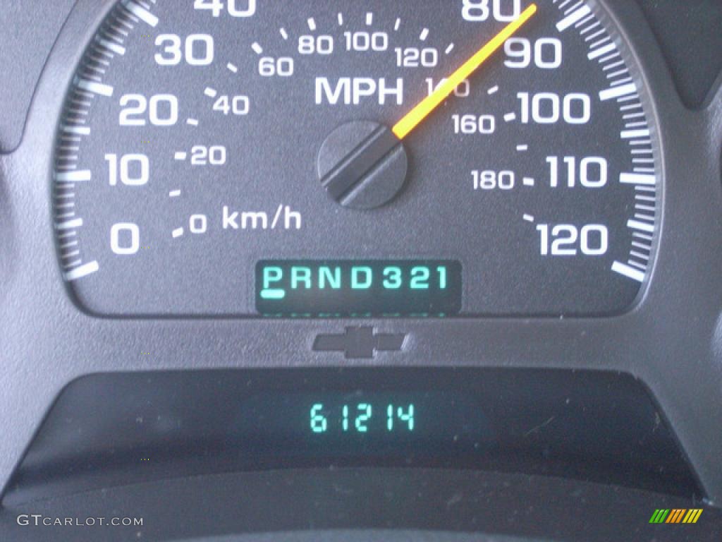 2004 TrailBlazer LS - Dark Gray Metallic / Pewter photo #19
