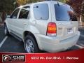 2005 Gold Ash Metallic Ford Escape Limited  photo #2