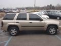 Sandstone Metallic - TrailBlazer LS Photo No. 2