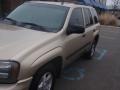 Sandstone Metallic - TrailBlazer LS Photo No. 5