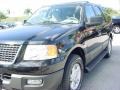 2004 Black Ford Expedition XLT  photo #14