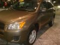 2009 Sandy Beach Metallic Toyota RAV4 I4  photo #4