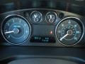 Medium Light Stone Gauges Photo for 2011 Ford Flex #40219934