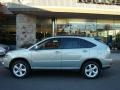 Bamboo Green Pearl - RX 350 AWD Photo No. 3
