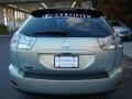 Bamboo Green Pearl - RX 350 AWD Photo No. 5