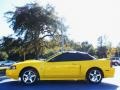 2004 Screaming Yellow Ford Mustang GT Convertible  photo #2
