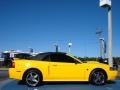 2004 Screaming Yellow Ford Mustang GT Convertible  photo #6