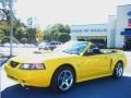 2004 Screaming Yellow Ford Mustang GT Convertible  photo #9