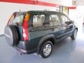 2003 Clover Green Pearl Honda CR-V LX  photo #4