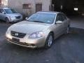 Velvet Beige - Altima 2.5 SL Photo No. 1