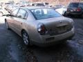 Velvet Beige - Altima 2.5 SL Photo No. 5
