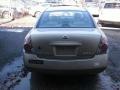 Velvet Beige - Altima 2.5 SL Photo No. 6