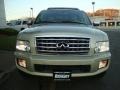 2008 Serengeti Sand Infiniti QX 56 4WD  photo #10