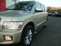 Serengeti Sand - QX 56 4WD Photo No. 13