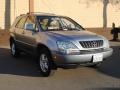 Millenium Silver Metallic - RX 300 Photo No. 1