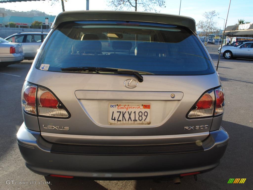 2003 RX 300 - Millenium Silver Metallic / Ivory photo #6