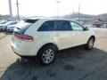 2007 Creme Brulee Metallic Lincoln MKX AWD  photo #4